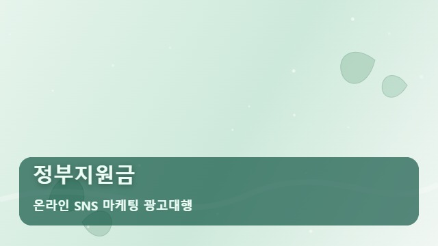 온라인 SNS 마케팅 광고대행 정부지원금 정부지원금 헛돈 금지! 필독 주의보 대표 이미지