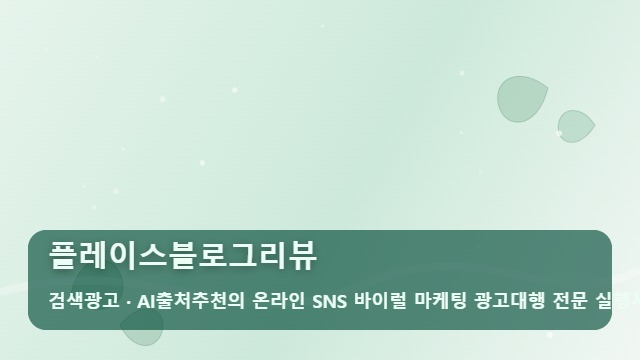 플레이스블로그리뷰 플레이스블로그리뷰 실패 없는 실행사 선택 가이드 대표 이미지